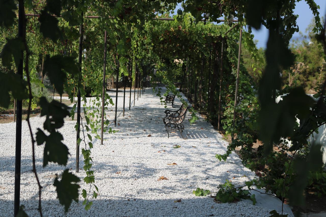 Meryem'S Hotel Agios Epiktitos Exteriér fotografie