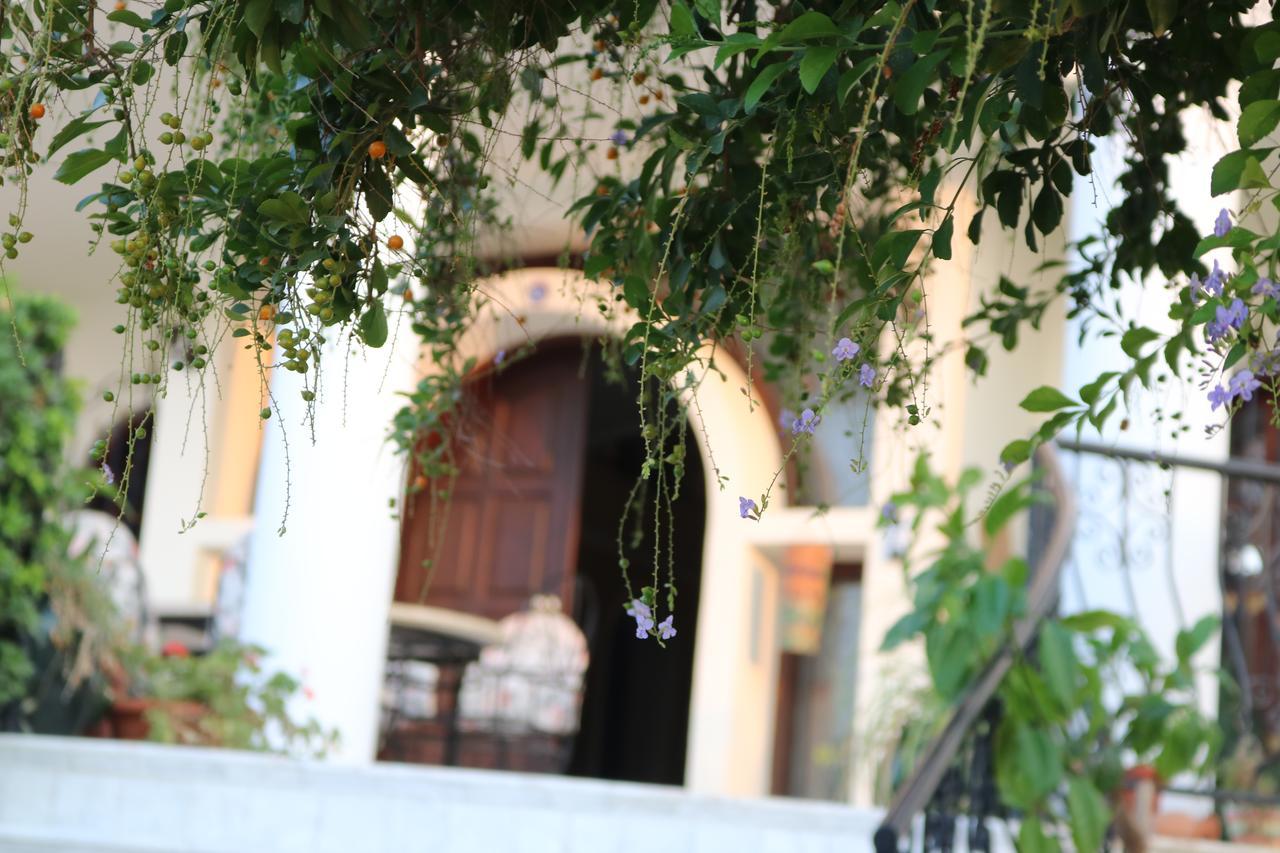 Meryem'S Hotel Agios Epiktitos Exteriér fotografie
